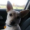shiloh0526